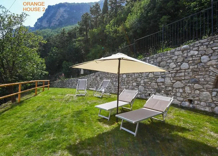 Orange House تينيالي